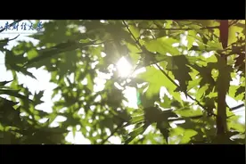 山东财经大学视频封面