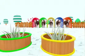 谁家的奶牛吃冬虫夏草，这不亏死了