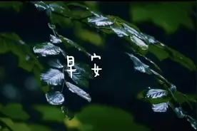 你好，早安图片