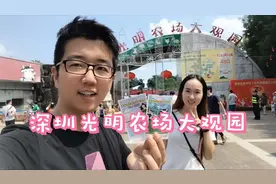 深圳这个大观园，特别适合家长带娃去，好玩还涨知识，门票便宜！视频封面