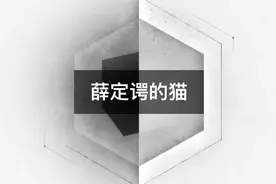 “薛定谔的猫”中究竟蕴含着怎样的秘密？视频封面