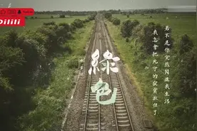 陈雪凝《绿色》若不是你突然闯进我生活， 我怎会把死守