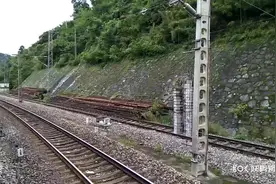 宝成货运主力军视频封面