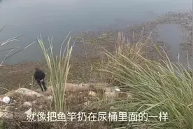 钓鱼红虫威力真那么大吗？一边拉的手软一边玩的无聊