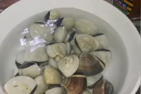 爱吃沙白的一定要收藏，学会这种做法，好吃又入味，能多喝二两