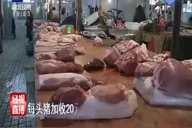 每头猪加收20元 商户质疑屠宰厂“乱收费”视频封面