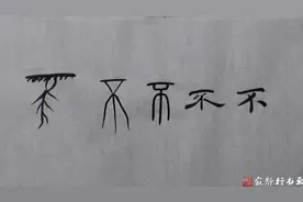 好玩的 “不”字 甲骨文 金文 篆书 隶书的字源演变+石鼓文示范视频封面