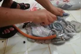 屠宰场实拍，看完猪内脏的清洗过程，网友：我2天都吃不下饭