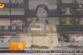 不同颜色的气象预警信号代表了什么？图片