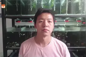 北方马上要入冬了我们如何让孔雀鱼渡过低温期？