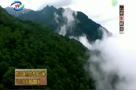 腾冲气候海拔1600米，竟是世界公认的宜居长寿海拔区，才知道视频封面