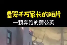 【新股中签技巧】图片