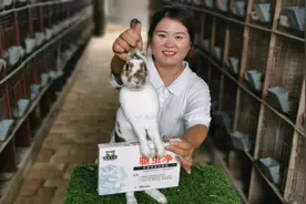 勤姐：兔子寄生虫病的症状以及危害，兔子寄生虫病的治疗办法视频封面