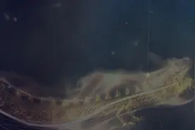 42.79亿票房的《哪吒》，投资人能分多少钱？光线或分超10亿！视频封面