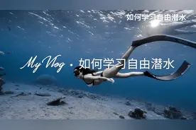 减肥的运动你以为只有跑步么？  塑形减脂利器自由潜水了解一下视频封面