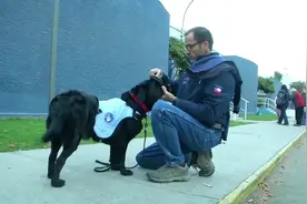 医疗犬走进智利病房陪伴自闭症儿童视频封面