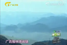 （震撼）让全国人民流泪的小孩 杨六斤视频封面