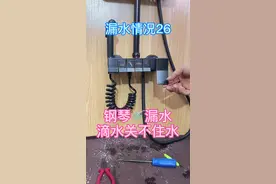 钢琴花洒按键漏水维修图片