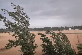 5月17 狂风雷鸣袭击河南，出着太阳下着雨，老罗带你感受真实场景视频封面