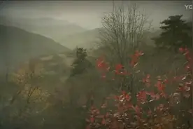 向左向右-矿山人家片尾曲视频封面
