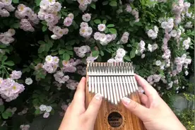 还记得当年步步高音乐手机的广告曲吗？哒啦哒啦哒~~~