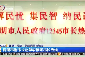 昆明市副市长赵学农接听市长热线视频封面