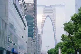 汪萍自居夏尔经纪人并包装，收藏家闻言拿出支票，希望独家签约视频封面