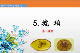 四年级下册语文《5.琥珀》第一课时视频封面