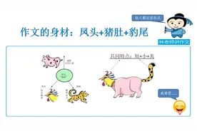 作文里的凤头猪肚豹尾是啥意思，这次老师全讲明白了视频封面