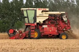 2020追逐收获：实拍谷神GM100作业现场，这回我可没快进。视频封面