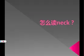 neck怎么读