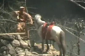 西游记 孙悟空打虎，问老虎和猴子哪个厉害视频封面