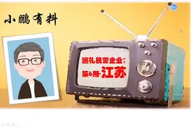 中国民企看江苏，江苏省的特大型民营企业有多强，超过你的想象！视频封面