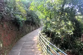 深入石象湖景区中心遇到更大片的花海，赏花，坐秋千，好不快哉！视频封面