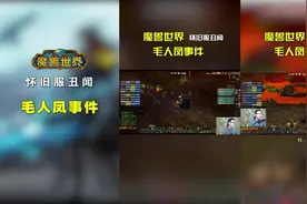 魔兽世界经典旧世怀旧服丑闻毛人凤事件，毛人风，狂人与风黑风剑视频封面