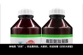 高效氯氰菊酯，这样用效果最好视频封面