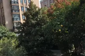 70万的房贷，分二十年还，等额本金，看看每个月需要还多少？视频封面