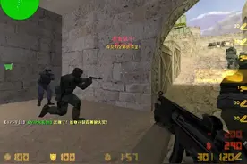 CS混战—东蹦西跳，像个鸵鸟。非主流枪械,B31，粘上你就不要跑