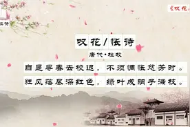 每日读诗之七言绝句：《叹花怅诗》唐代——杜牧视频封面