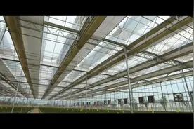 5分钟读懂大数据，走进大数据工程师视频封面