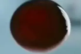 最“贵”的血液比黄金还贵，特警全天守护，却是一群最可怜的人！视频封面