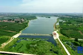 飞“阅”大沽河图片