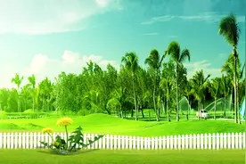 广场舞《我就是我》歌曲旋律动感欢快，舞步轻盈活泼，好看附教学