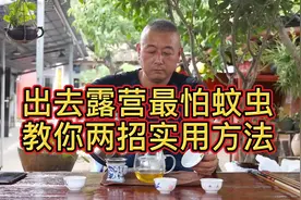 出去露营最怕蚊虫，教你两招实用的驱虫方法，户外大个喝茶讲故事视频封面