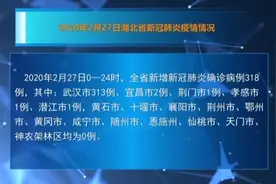 截止2月28日零点湖北省最新疫情情况通报视频封面