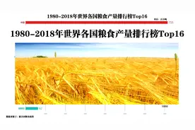 1980年-2018年世界各国粮食产量排行榜TOP16
