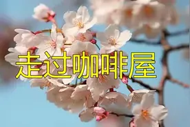 孙露-走过咖啡屋视频封面