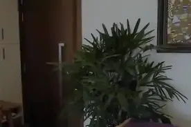 颈部保健推拿手法，学起来给女朋友试试