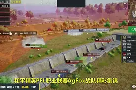 和平精英PEL：AgFox战队单人灭队DKG，堪称天神下凡视频封面