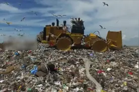 看看城市每天造成的垃圾污染，触目惊心！保护环境、人人有责！